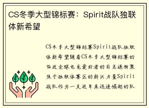 CS冬季大型锦标赛：Spirit战队独联体新希望