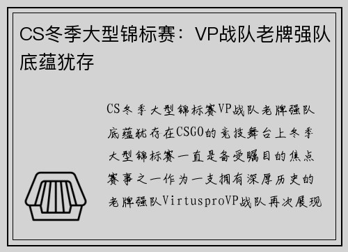 CS冬季大型锦标赛：VP战队老牌强队底蕴犹存